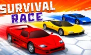 Survival Race Survival Race img
